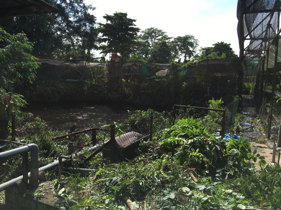site2