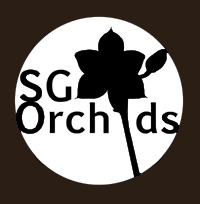SG ORCHIDS